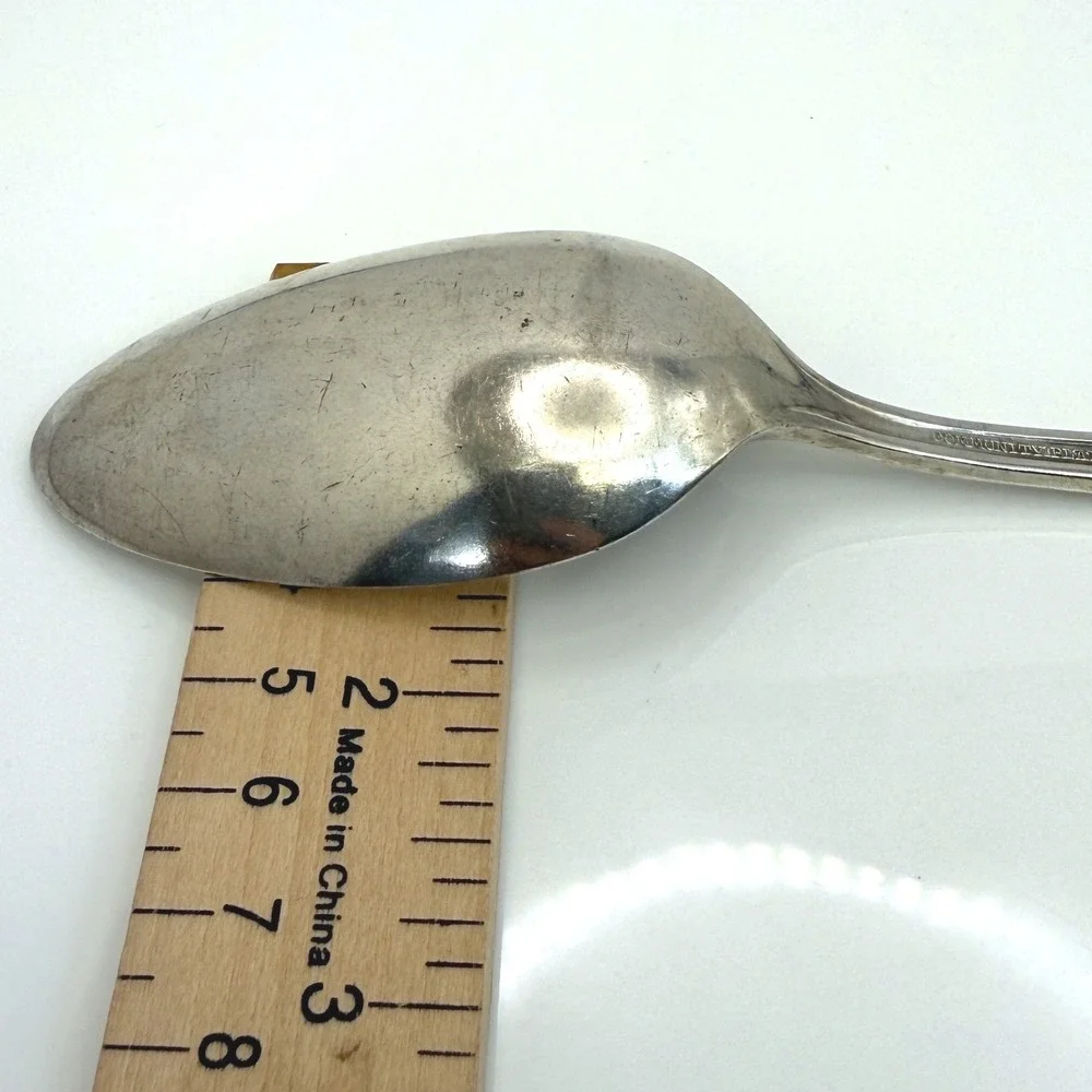 Vintage Oneida Community Plate Adam Silverplate Soup Spoon 1917 No Monogram